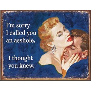 Tin Metal Sign I‘m Sorry I Called You an Asshole I Thought You Knew Metal Cafe Living Room Kitchen Bathroom Home Art Wall Decor Plaque Gift 12 x 8 Inch