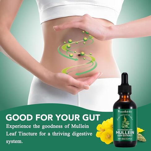 Mullein Drops for Lungs - Mullein Leaf Extract for Lungs - Support Lung Cleanse & Respiratory Function for Healthy Breathing Cleanse - Natural & Safe Supplement, 2 Fl Oz, 1 Month Supply in Kuwait