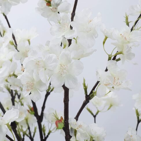 LESING 4pcs Cherry Blossom Flowers Artificial, Fake Silk Cherry Blossom Branches Tall Peach Blossom Flower Stems Arrangement for Wedding Home Office Party Decoration (Light Pink -1) in Saudi Arabia