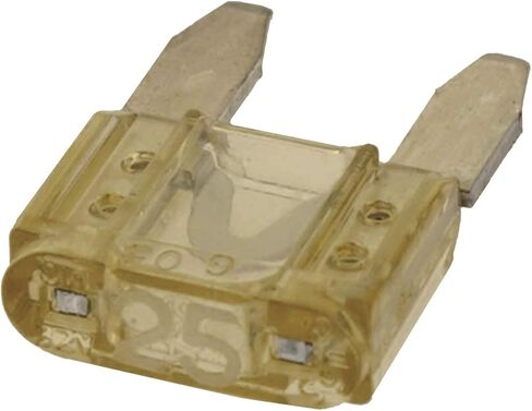 ACDelco GM Original Equipment ATM25-25 25 Amp Automotive Mini Fuse in Saudi Arabia