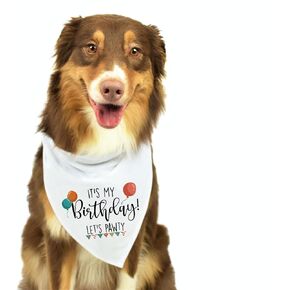 Moonwake Designs, It's My Birthday, White Polyester Dog Bandana, Pet Gift