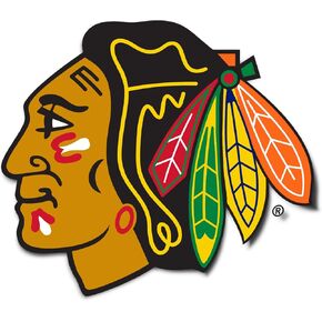 Desert Cactus Chicago Blackhawks Team NHL National Hockey League Sticker Vinyl Decal Laptop Water Bottle Car Scrapbook (Individual A)