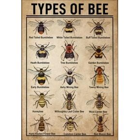 Honey Bee Knowledge, Bee Type Knowledge Tin Sign, Metal Sign Wall Art