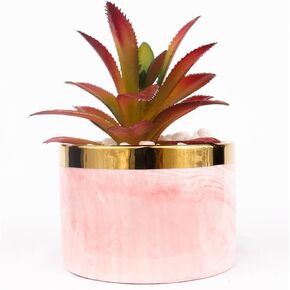 Succulents Plants Artificial,Mini Fake Succulents in Ceramic Pots,Plastic Faux Greenery Small Fake Plants for Desk Livingroom Bathroom and Home Decoration