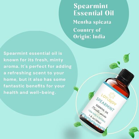 Douglas Fir Essential Oil, Pure Natural for Diffuser Holiday Candle DIY - 1 Oz in Saudi Arabia