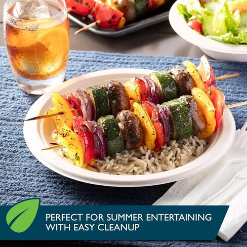 Hefty ECOSAVE Compostable Paper Plates, 8-3/4 Inch, 60 Count in Saudi Arabia