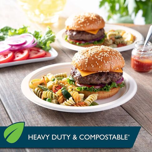 Hefty ECOSAVE Compostable Paper Plates, 8-3/4 Inch, 60 Count in Saudi Arabia