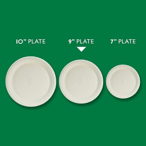 Hefty ECOSAVE Compostable Paper Plates, 8-3/4 Inch, 60 Count in Saudi Arabia