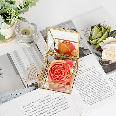 Hipwie Vintage Glass Jewelry Box with Black Lid, Mirrored Jewelry Display Case Small Trinket Organizer Golden Lidded Box Keepsake Box Decorative Glass Box for Ring Earrings Chest (Tree of Life) in Saudi Arabia