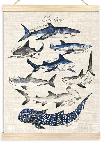 Ecezatik Sharks Poster Hanger Frame, Shark Wall Art, Beach Room Decor, Coastal Home Decor, Shark Hanging Wall Decor for Classroom Nursery Boys Room, Shark Gifts for Shark Lovers, 12x16 in Saudi Arabia
