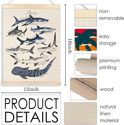 Ecezatik Sharks Poster Hanger Frame, Shark Wall Art, Beach Room Decor, Coastal Home Decor, Shark Hanging Wall Decor for Classroom Nursery Boys Room, Shark Gifts for Shark Lovers, 12x16 in Saudi Arabia
