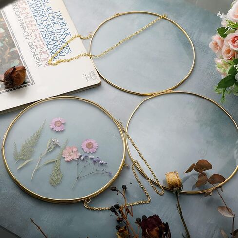 Qunclay 4 Pcs Double Glass Frame for Pressed Flowers Round Glass Frame Hanging Herbarium Frame Floating Flower Press Frame Clear DIY Vintage Artwork Display Frame, Frame Only(Black, 8 Inch) in Saudi Arabia