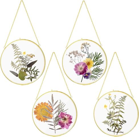 Qunclay 4 Pcs Double Glass Frame for Pressed Flowers Round Glass Frame Hanging Herbarium Frame Floating Flower Press Frame Clear DIY Vintage Artwork Display Frame, Frame Only(Black, 8 Inch) in Saudi Arabia