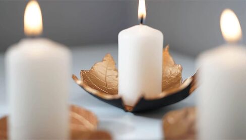 Hofer Ivory Pillar Candles - Set of 20 Unscented Small Candles in Bulk - 1.57 x 2.76 Inch - 11 Hours Long Burning Decorative Candles - Dripless Wax - Smokeless Wick - RAL Quality - Made in Austria in Saudi Arabia