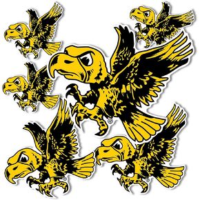 Desert Cactus University of Iowa Stickers Hawkeyes Vinyl Decals Laptop Water Bottle Car Scrapbook T3 (Type 3-1 Vintage)