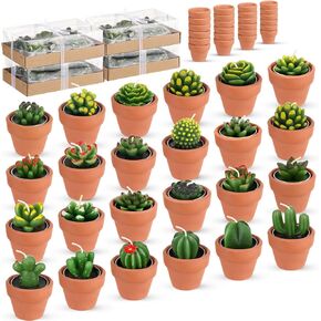 Shihanee 24 Pack Succulent Candles Cactus Tealight Candles Bulk with Terracotta Pot Novelty Handmade Stylish Plant Candles for Baby Shower Birthday Wedding Party Favors Home Decor (Classic Style)