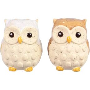 The Bridge Collection Stoneware Owl Salt and Pepper Shakers - Woodland Themed Salt and Pepper Shakers - Kitchen Tabletop Decor for Boho, Country, and Neutral Home Decor