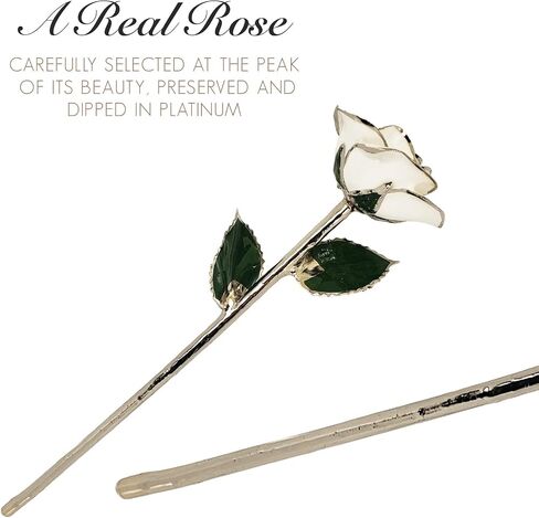 Forever Rose Platinum Purple Rose Platinum Trimmed Rose with Beautiful 2 Toned Purple Color, an Eternal Gift; Hand Dipped & Trimmed in Platinum w/Certificate of Authenticity in Saudi Arabia