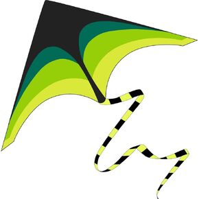 Kite for Kids & Adult with Long Tail Easy to Fly & Assemble for Beginner Children Delta Kite Professional Kite Outdoor Activity Beach Toy for Family