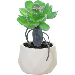 نباتات صناعية ومساحات خضراء في 1 أوعية سيراميك بيضاء، نباتات وهمية صغيرة لديكور المكتب والمكاتب، والحمام، وغرفة النوم، والأرفف للنساء in Kuwait