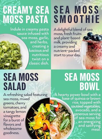 Biolore Sea Moss Gel Elderberry 16Oz Made in USA Supercharge Your Health Raw Wildcrafted Irish Seamoss - Essential Vitamins & Minerals - Antioxidant-Rich Vegan Superfood for Immune Support in Saudi Arabia