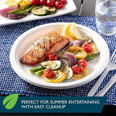 Hefty ECOSAVE Compostable Paper Plates, 8-3/4 Inch, 60 Count in Saudi Arabia