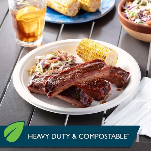 Hefty ECOSAVE Compostable Paper Plates, 8-3/4 Inch, 60 Count in Saudi Arabia