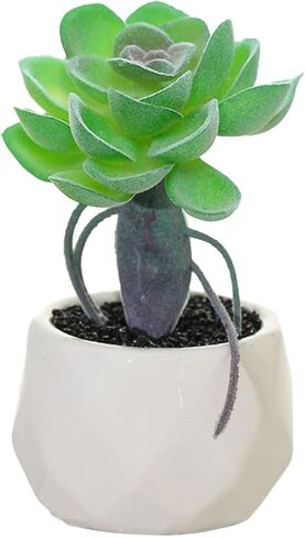 نباتات صناعية ومساحات خضراء في 1 أوعية سيراميك بيضاء، نباتات وهمية صغيرة لديكور المكتب والمكاتب، والحمام، وغرفة النوم، والأرفف للنساء in Kuwait