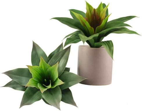Artificial Agave Plant Artificial Plants Fake Agave Succulent Plant UV Resistant Fake Agave Plants for Home Office Store Decoration (White Green, 2PCS) in Saudi Arabia