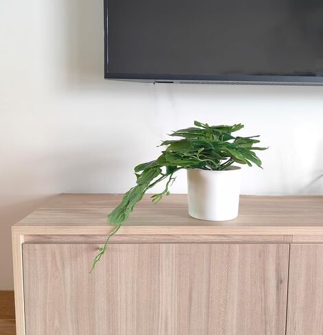 Fake Plants Artificial Plants with Pot 20" Realistic Faux Palm Leaf Plants Artificial Vine Plant Indoor Large Desk Plants for Aesthetic Home Living Room Wall Office Outdoor Decor (Light Green) in Saudi Arabia