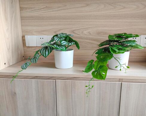 Fake Plants Artificial Plants with Pot 20" Realistic Faux Palm Leaf Plants Artificial Vine Plant Indoor Large Desk Plants for Aesthetic Home Living Room Wall Office Outdoor Decor (Light Green) in Saudi Arabia