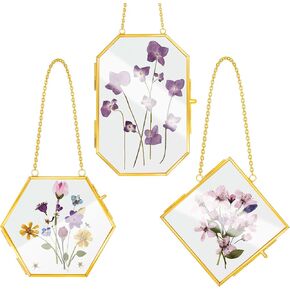 3 Pcs Glass Frame for Pressed Flowers Brass Wall Hanging Photo Frame Golden Glass Hanging Picture Artwork Display Frame with Chain for Wall Decor Plant Specimen Photo Display