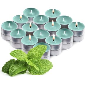 شموع تيلايت معطرة باللون الأرجواني - عبوة مكونة من 12 شمعة معطرة مع روائح طويلة الأمد - شموع تيلايت أرجوانية معطرة بالأوركيد البري - وقت احتراق لمدة 4 ساعات