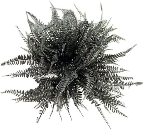 8 قطع 15 بوصة نبات سرخس بوسطن الاصطناعي، أوراق فارسية استوائية ينبع أوراق صناعية، أوراق سوداء لترتيب الزهور، قطعة مركزية للطاولة، أكاليل الزهور، الزفاف، خلفية المتجر، ديكور الهالوين in Kuwait