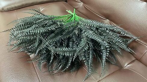 8 قطع 15 بوصة نبات سرخس بوسطن الاصطناعي، أوراق فارسية استوائية ينبع أوراق صناعية، أوراق سوداء لترتيب الزهور، قطعة مركزية للطاولة، أكاليل الزهور، الزفاف، خلفية المتجر، ديكور الهالوين in Kuwait