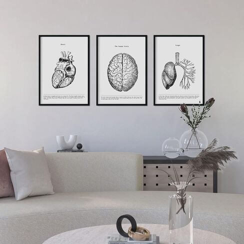 nacnic Prints Human Body Anatomy - Set of 3 - Unframed 11x17 inch Size - 250g Paper - Beautiful Poster Painting for Home Office Living Room in Saudi Arabia