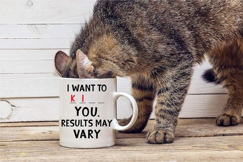 I Want to K You 11oz Funny Coffee Mug With Sayings Inspirational Sarcasm Desk Office Decor For Women Men Boss Coworker Best Friend By CBT Mugs in Saudi Arabia