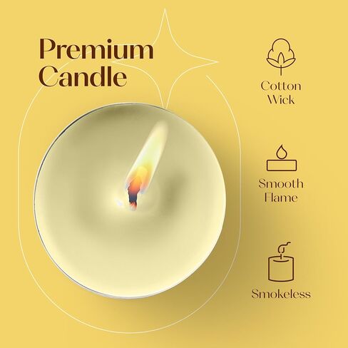 Purple Scented Tealight Candles - Pack of 12 Scented Tea Light Candles with Long Lasting Aromas - Wild Orchid Fragranced Purple Tealight Candles - 4 Hour Burn Time in Saudi Arabia