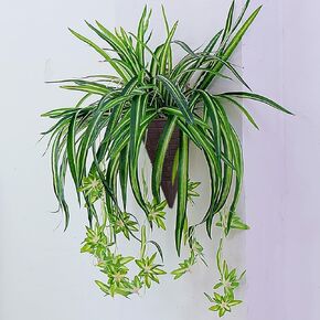 نباتات معلقة اصطناعية من WEISPARK مع سلة، أوراق نبات الأوركيد المزيفة المعلقة في الأواني، خضرة زراعية صناعية لتزيين جدران غرفة المنزل والمكتب والفناء in Kuwait