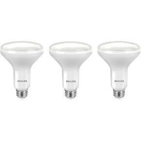 Philips LED Dimmable BR30 Light Bulb: 650-Lumen, 5000-Kelvin, 9-Watt (65-Watt Equivalent), E26 Base, Daylight, 3-Pack