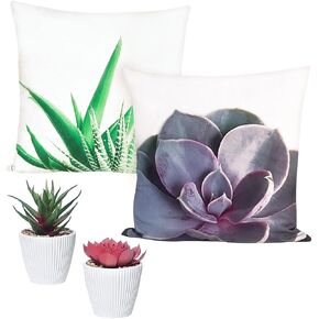 Artificial Succulent Plants Potted Set with Cushion Covers Set of 4 pcs 2 Fake Plants and 2 Throw Pillow Covers Home Decor. Succulents and Covers 18x18 No Inserts, YJJ-DR2553/54 TPR137