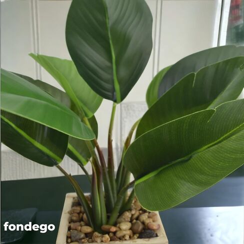 2 حزمة نباتات اصطناعية بوعاء 16 بوصة مع وعاء خشبي للمنزل والمكتب ديكور الغرفة الخضراء وهمية طائر الجنة وأوراق الكمان المزيفة نبات اللبخ باندوراتا هدية الترحيب بالمنزل الجديد in Saudi Arabia