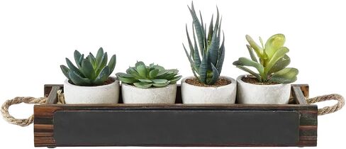 MyGift 5 Piece Artificial Plant Display Set, Mini Assorted Faux Succulents, Indoor Fake House Plants Centerpiece in Concrete Planters, Dark Brown Wood Window Box with Chalkboard Label and Rope Handles in Saudi Arabia