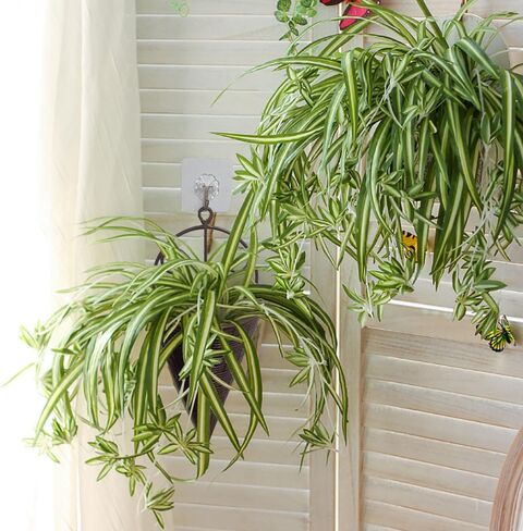 نباتات معلقة اصطناعية من WEISPARK مع سلة، أوراق نبات الأوركيد المزيفة المعلقة في الأواني، خضرة زراعية صناعية لتزيين جدران غرفة المنزل والمكتب والفناء in Kuwait