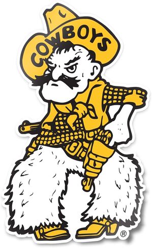 Desert Cactus University of Wyoming UWYO Cowboys Vinyl Decal Laptop Water Bottle Car Scrapbook Sticker (IND 5) in Saudi Arabia
