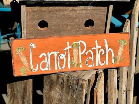 Vintage Primitive Funny farmhouse Decor Sweet Summertime,Rustic Summer Decor Decoration For Door Home Garden Living Room kitchen Store Cafes Gate Garage Club Bar Wood Sign 4x16 Inch, CQQ-G133 in Saudi Arabia