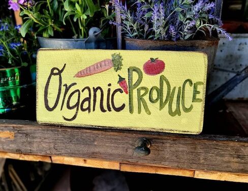 Vintage Primitive Funny farmhouse Decor Sweet Summertime,Rustic Summer Decor Decoration For Door Home Garden Living Room kitchen Store Cafes Gate Garage Club Bar Wood Sign 4x16 Inch, CQQ-G133 in Saudi Arabia