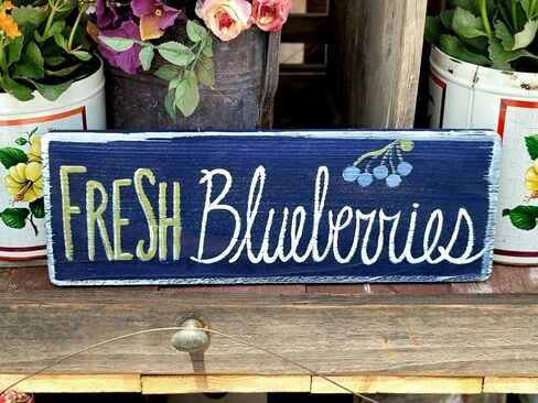 Vintage Primitive Funny farmhouse Decor Sweet Summertime,Rustic Summer Decor Decoration For Door Home Garden Living Room kitchen Store Cafes Gate Garage Club Bar Wood Sign 4x16 Inch, CQQ-G133 in Saudi Arabia