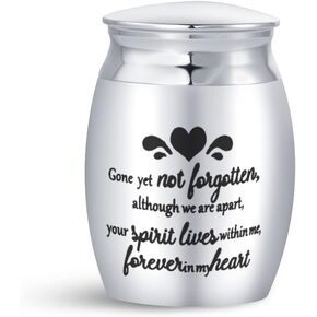 Love Heart Small Cremation Urn for Ashes Memorial Keepsake Stainless Steel Ash Holder for Family Friend Decorative Bottle