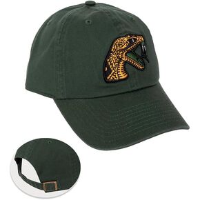Desert Cactus Florida A&M University Baseball Hat FAMU Rattlers Brimmed Embroirderd Hats Cap Adjustable Cloth Strap Adult (Style A) Green
